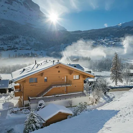 شاليه Alia And Apartments-grindelwald By Swiss