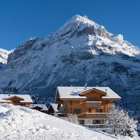 Chalet Alia And Apartments-grindelwald By Swiss