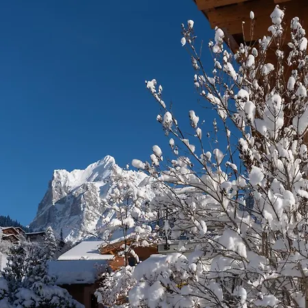 شاليه Alia And Apartments-grindelwald By Swiss جريندلوالد
